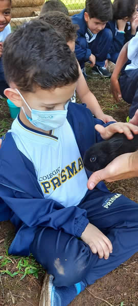 Bicho Mania 2022